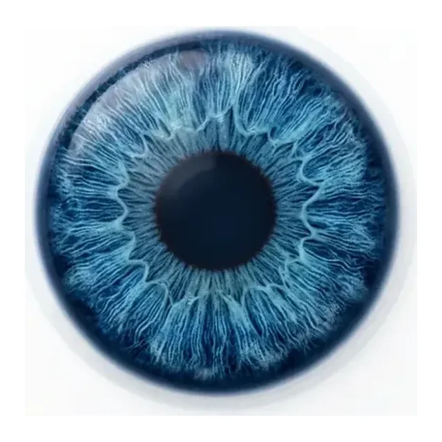 Blue iris color sample