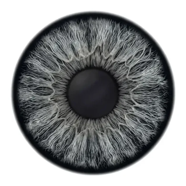 Gray iris color sample