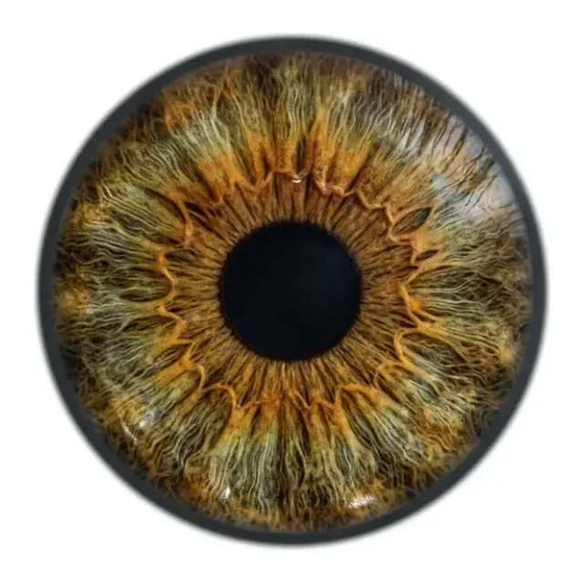 Hazel iris color sample